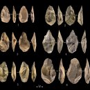 서진환경중기 | 분위호와 오르도스 고인류