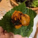 🍲 동탄 태정야채곱창 내돈내산 솔직리뷰 🍲