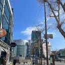 녹수탕 | 부산 녹수탕 목욕탕 후기