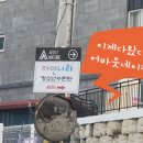 루소의숲어린이집 이미지