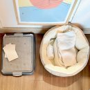 가평한옥애견펜션 | 가평 애견동반펜션 오블리비아테 루멘 객실 후기