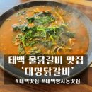 태백 관광지 투어 이미지