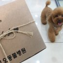 닥터 호오 동물병원 이미지