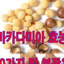 마카다미아 부작용 칼로리 이미지