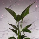 은성조경