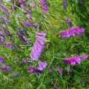 충북모타 이미지