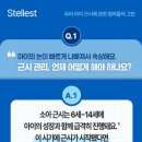 스텔 이미지