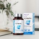 바디스콥 이미지