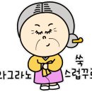 힐링쿡