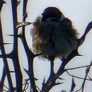 사금펜션민박 이미지