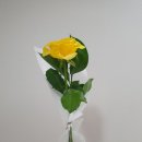 (주)태명실업 | 태교일기 1