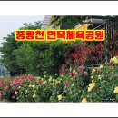 면목체육공원 이미지