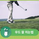 팰리스 스크린 골프 이미지