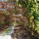 영팔농장 이미지