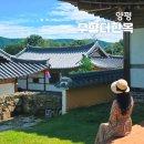 강아지 멋내기 | 양평 독채 펜션 감성 찜질방 숙소 추천 수향더한옥