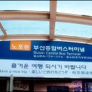 주왕산시외버스터미널 이미지