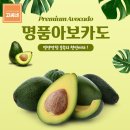 고씨네 이미지