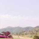 이쁘니노래연습장 | [경기도 포천] 포천힐스cc 야간라운딩 ❤️ 명랑골프 . 내맘대로 후기! 포천힐스컨트리클럽.