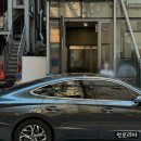 페이스라인(FACELINE)