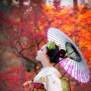 일본어회화 초급 이미지