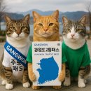 평창역 관광안내소 | 강원도 교통패스 완전 정복 가이드
