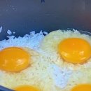 계란이랑쌀이랑