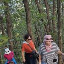 충주 악어봉,제천 청풍문화재단지(28-10-17) 이미지