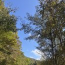 사림농장 이미지