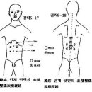 35. 經絡5권(제 7장 癌의 經絡治療) 이미지