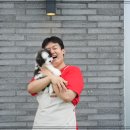 고양이샵 | 구리고양이분양 정보와 애견샵 비교 후기