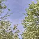 덕진-팔복-비상-06 | 전주 팔복예술공장 앙리 마티스&amp;라울뒤피 전시 특별한 미술 데이트 코스 추천