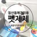 펫제제(PET JEJE) | 침산동애견미용 맛집 펫제제 폼피치 대구강아지미용 후기