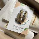 엘림인터내셔널 | 프로틴포미 단백질 씨리얼 카카오맛 / 인절미맛 / 증정품_볶음현미 함유 씨리얼 /칼로리, 맛_내돈내산 후기
