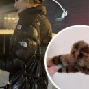 스마트샵퍼 이미지