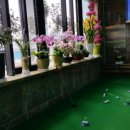 줄버디골프아카데미 이미지