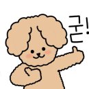 영진이네 이미지