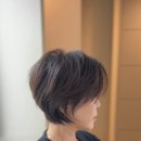 헤어그레 이미지