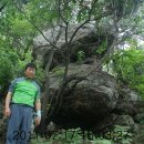 수원중부경찰서 이미지