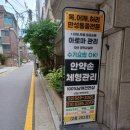 체리체형관리 이미지