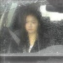 디마 이미지