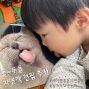 책 읽는 아이/첫 자연 전집 추천