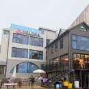 욜로하 스테이 | 양양 욜로하스테이, 동호해변 가족여행 숙소 내돈내산 2박