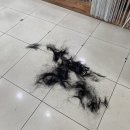 일산 대화동 매직 잘하는 미용실 ! ! 차영규헤어리베💇🏻‍♀️