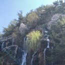 안산자락길 숲속카페 이미지