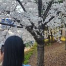 서운체육공원 (계양체육관) 이미지