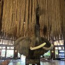 대룡VIP사우나한증막 | 케냐 🇰🇪 나이로비 사파리파크호텔, 캣츠쇼와 마사이 마켓