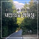내안의숲 이미지