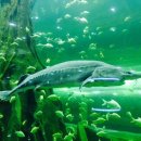 대전아쿠아리움 이미지