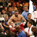 빅매치복싱 이미지