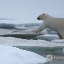 어디야